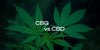 What’s the Difference Between CBG and CBD?