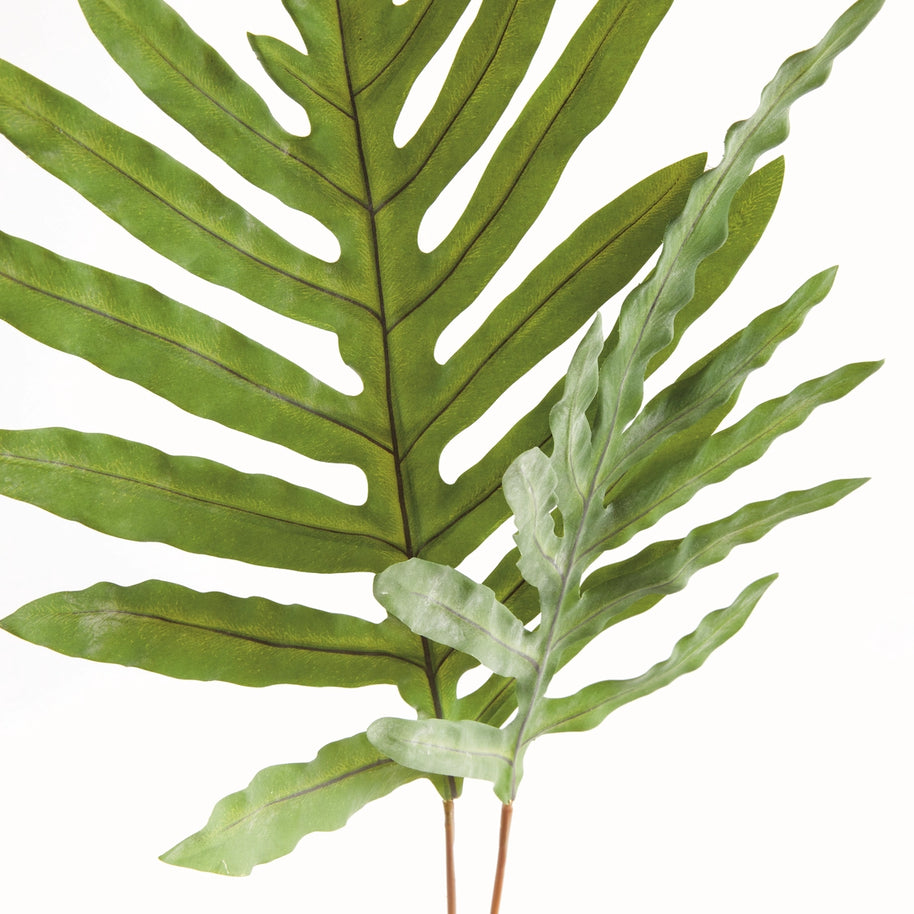 Hare's Foot Branches 34"