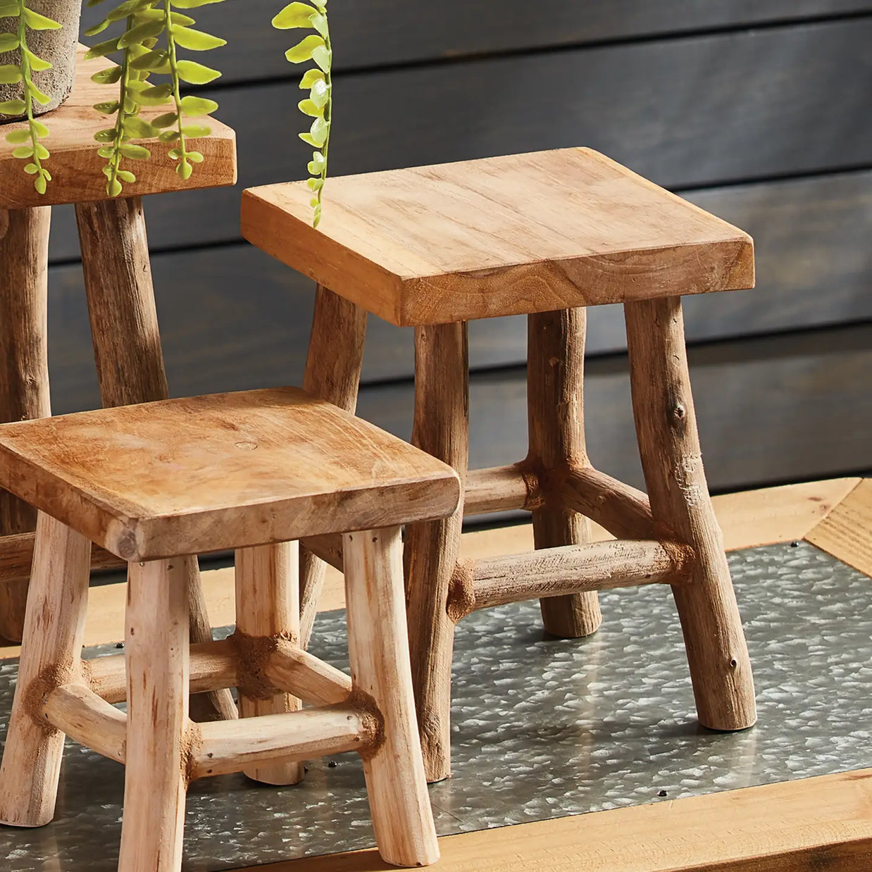 Rustic wooden stools with thick plank seats and natural branch legs in light unfinished wood with trailing succulent plant