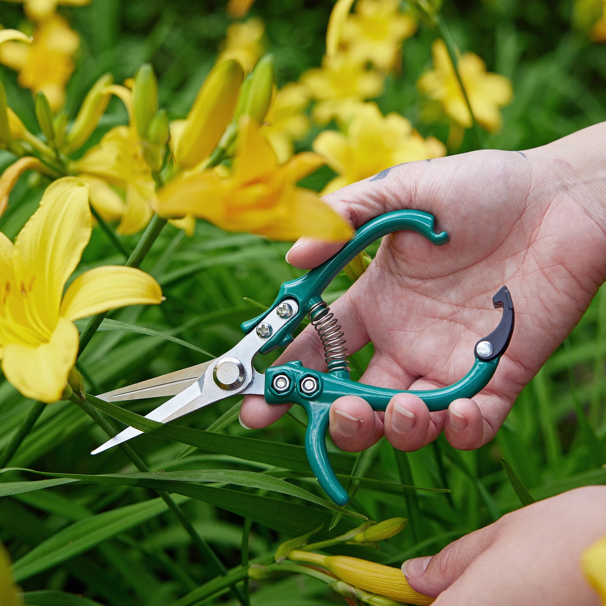 Modern Sprout Garden Shears