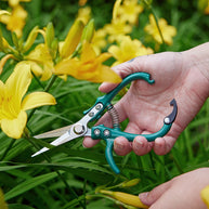 Modern Sprout Garden Shears