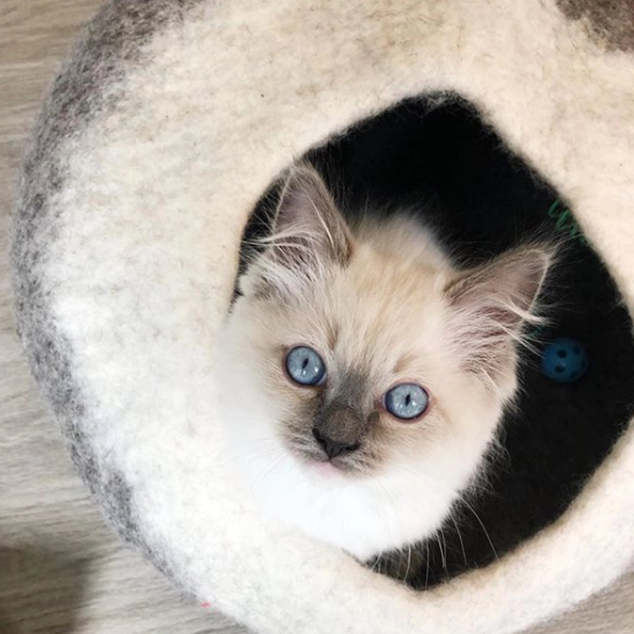 Dharma Dog Karma Cat Wool Pet Cave