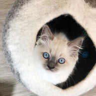 Dharma Dog Karma Cat Wool Pet Cave