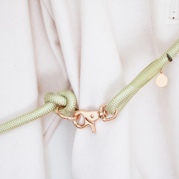Hands-Free Braided Rope Dog Leash