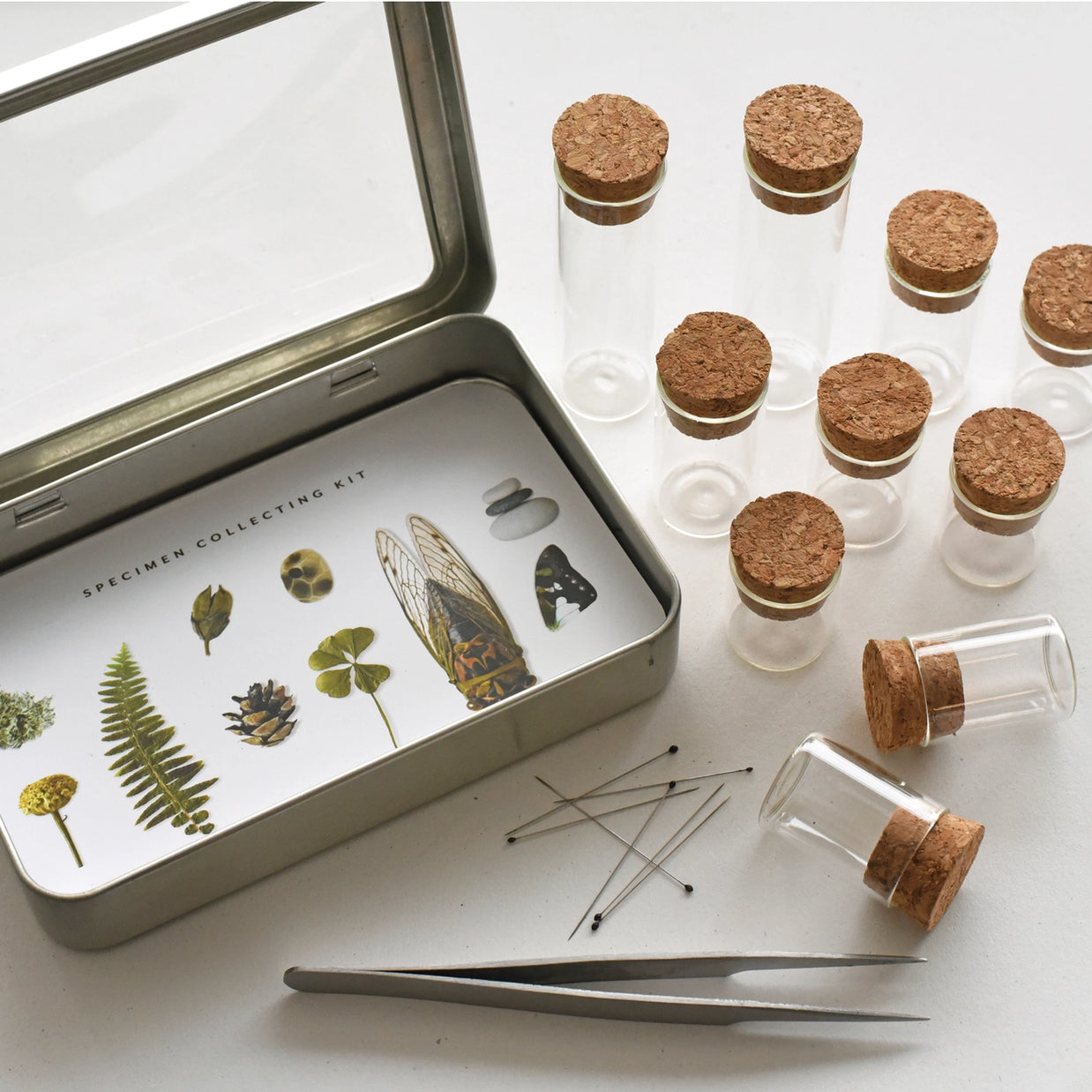 Specimen Outdoor Collecting Kit - June & December