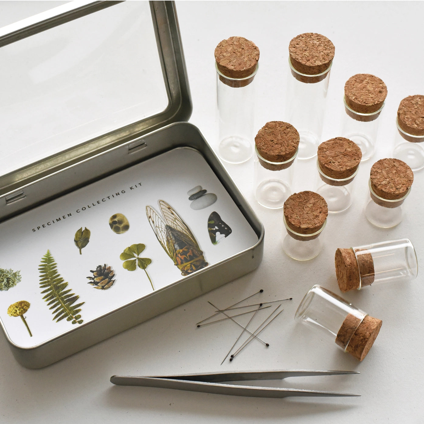 Specimen Outdoor Collecting Kit - June & December