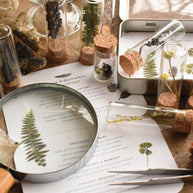 Specimen Outdoor Collecting Kit - June & December