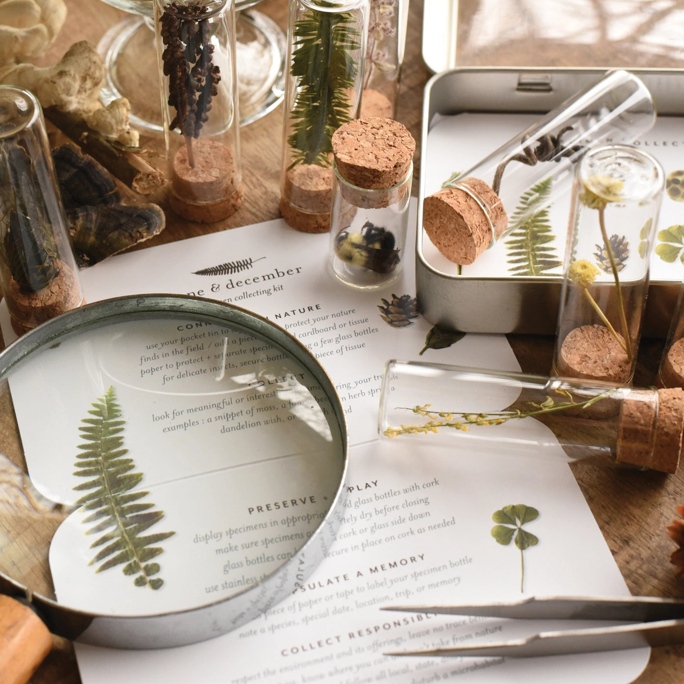 Specimen Outdoor Collecting Kit - June & December