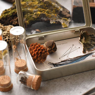 Specimen Outdoor Collecting Kit - June & December