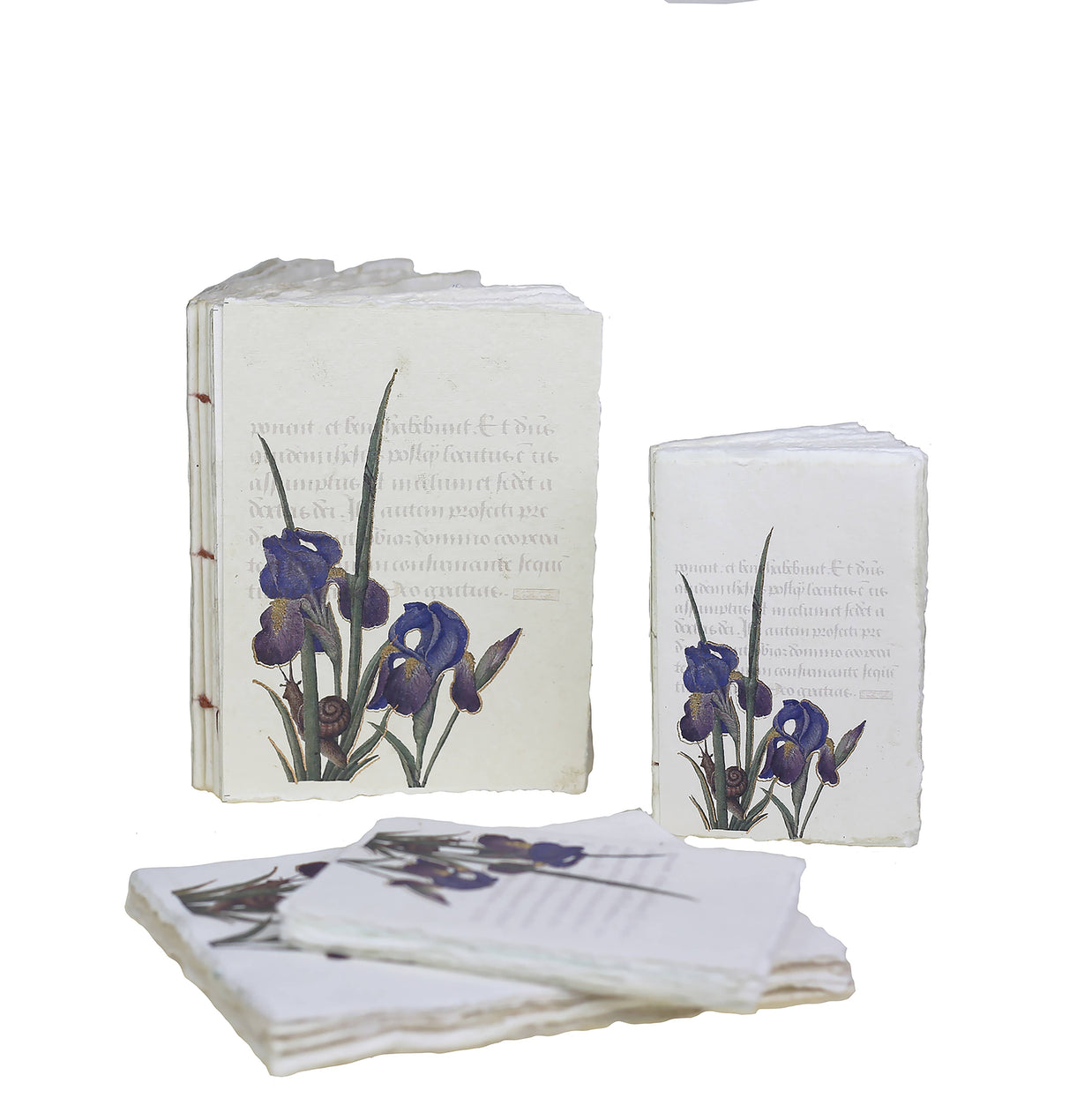 Epigr'am Strawberries & Iris Illumination Middle Ages Parchment Paper Notebook