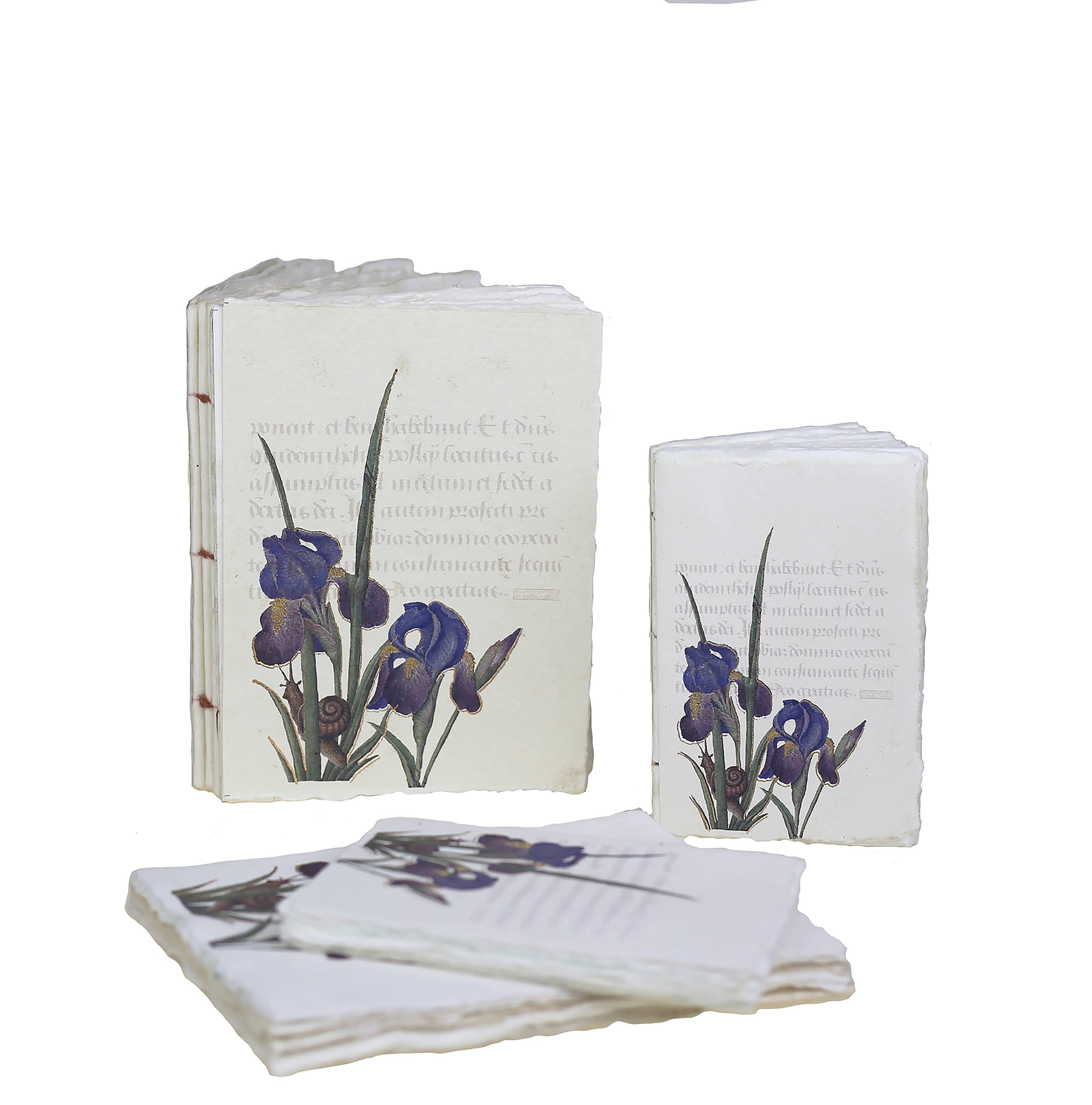 Epigr'am Strawberries & Iris Illumination Middle Ages Parchment Paper Notebook