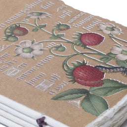 Epigr'am Strawberries and Irises Gold Illumination Parchment Paper Notebook