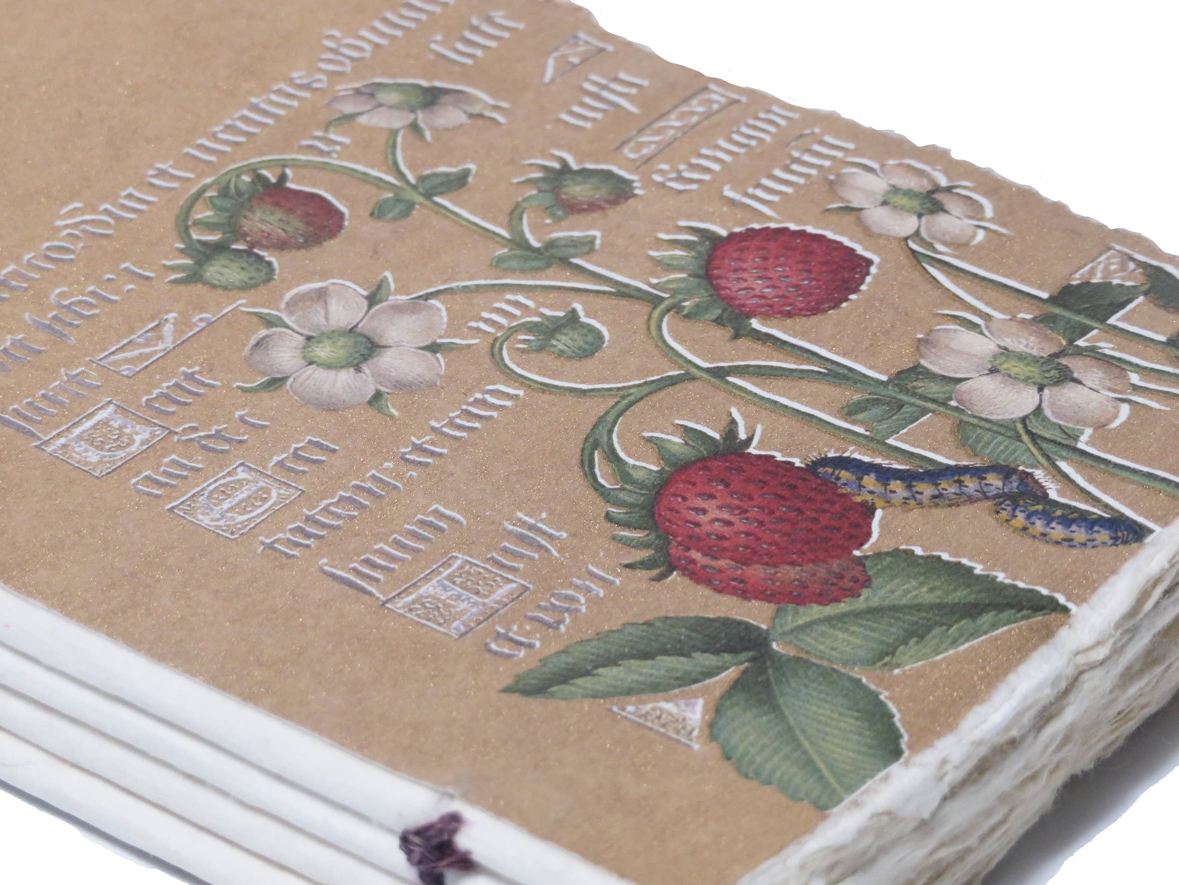Epigr'am Strawberries and Irises Gold Illumination Parchment Paper Notebook