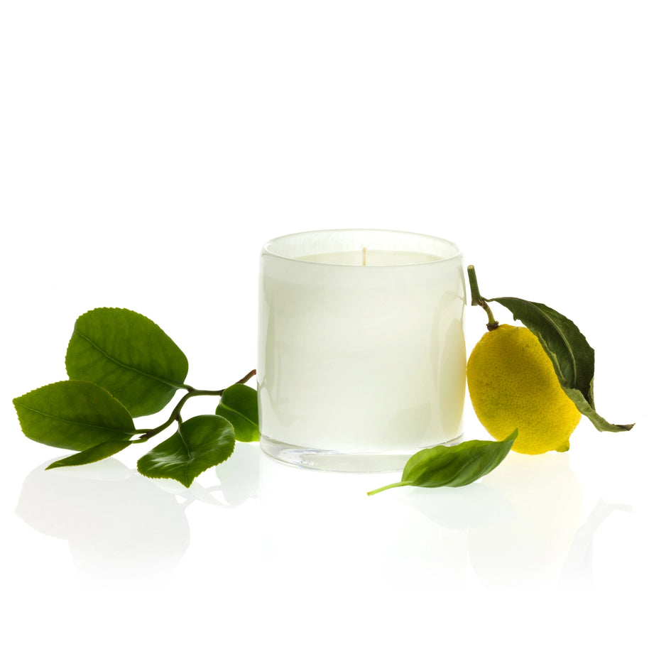 Alixx - Cylindre Candles - 15 oz