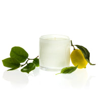 Alixx - Cylindre Candles - 15 oz