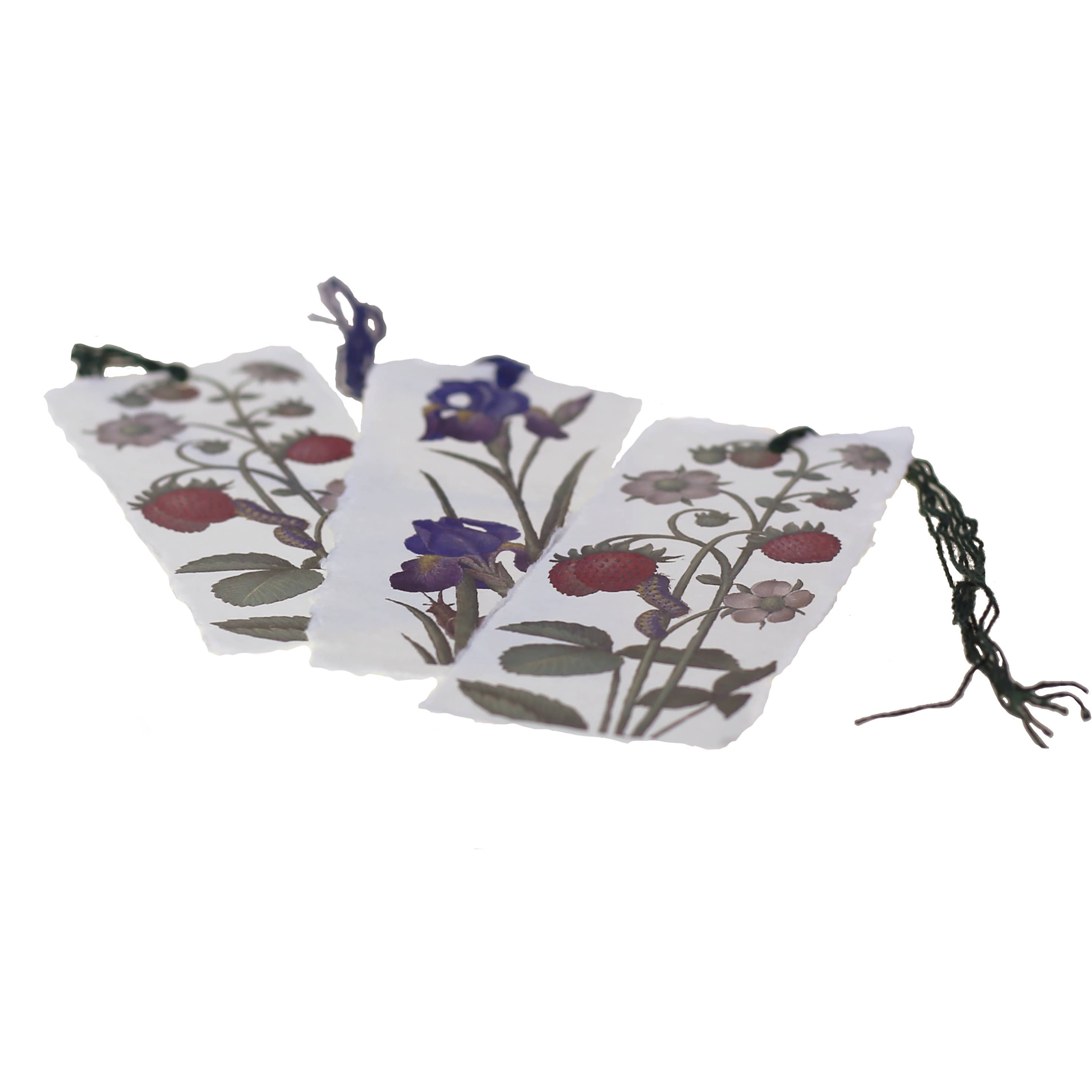 Epigr'am Strawberries & Iris Illumination Middle Ages Parchment Paper Bookmark