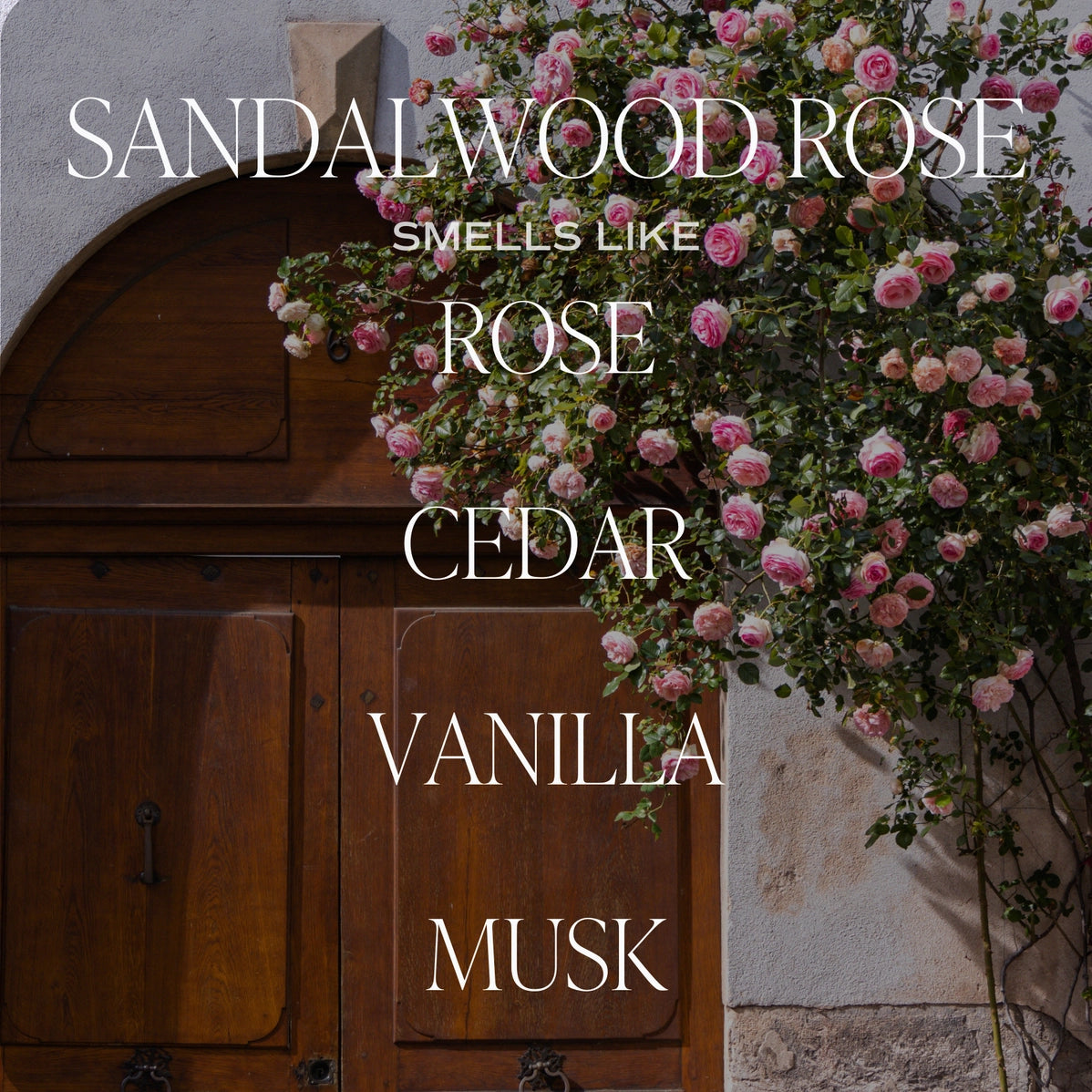 Climbing pink rose bush covering rustic wooden arched door on white stucco wall with fragrance note text overlay