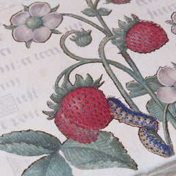 Epigr'am Strawberries & Iris Illumination Middle Ages Parchment Paper Bookmark