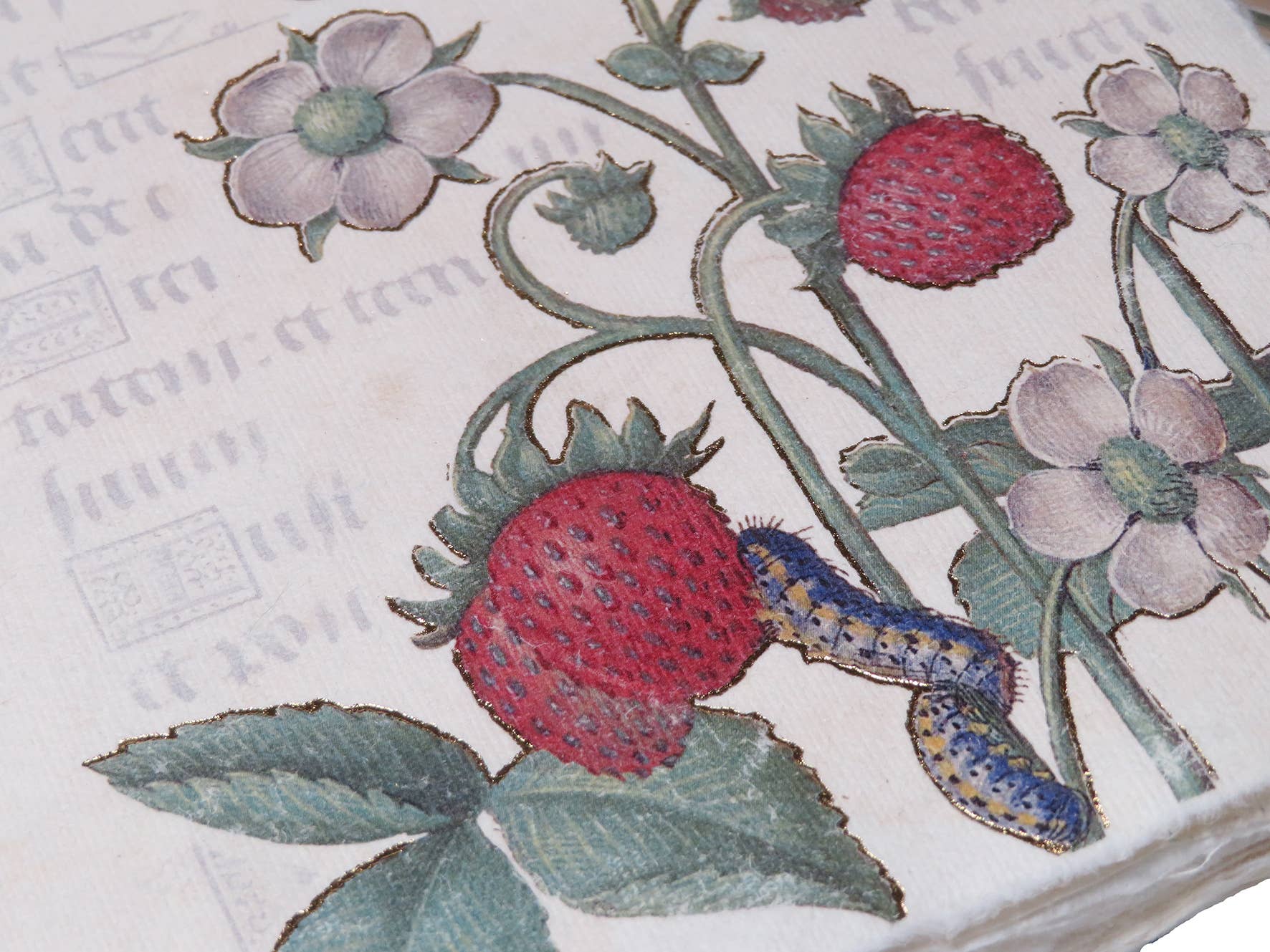 Epigr'am Strawberries & Iris Illumination Middle Ages Parchment Paper Bookmark