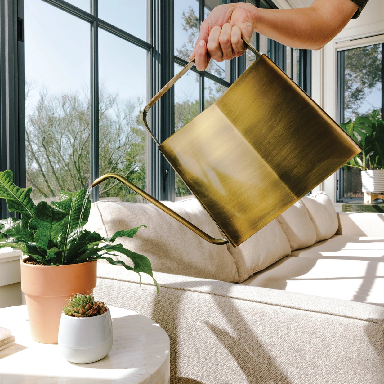 Modern Sprout Watering Can