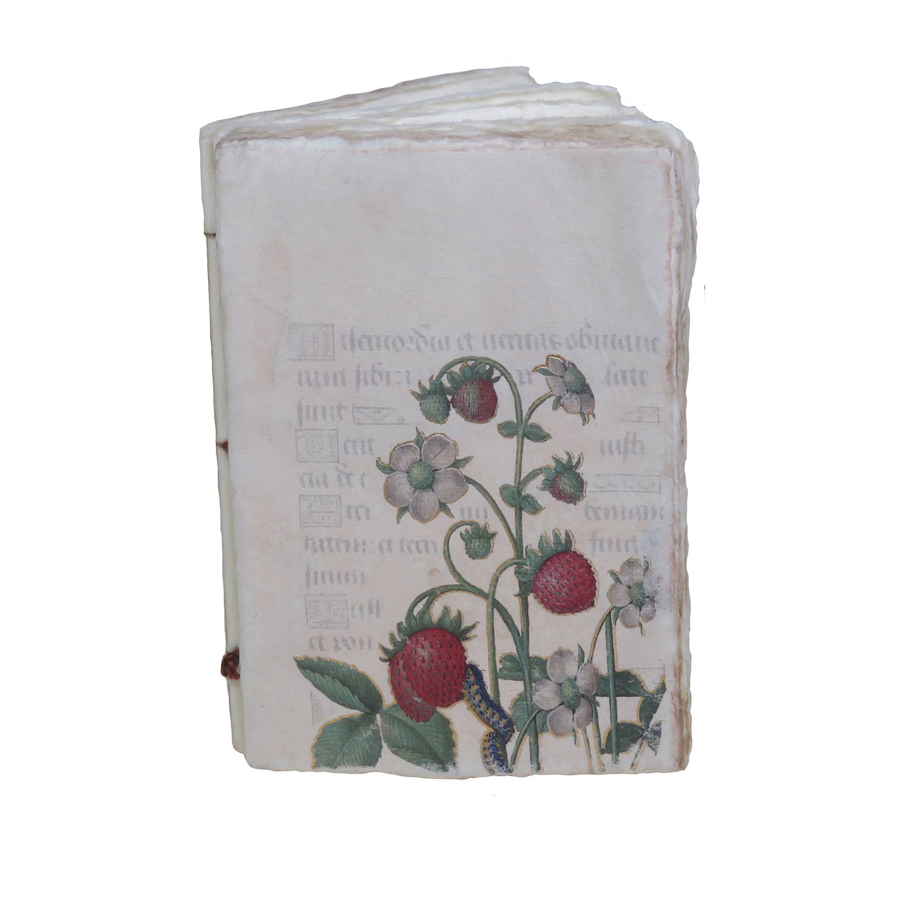 Epigr'am Strawberries & Iris Illumination Middle Ages Parchment Paper Notebook