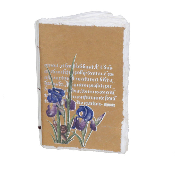 Epigr'am Strawberries and Irises Gold Illumination Parchment Paper Notebook