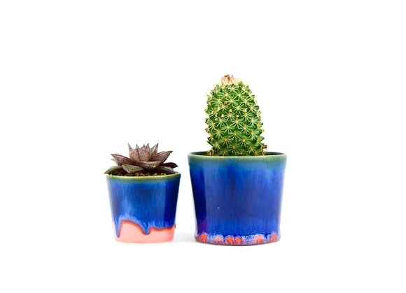 Two glazed ceramic plant pots in cobalt blue with coral-pink drip glaze, holding a purple succulent and green cactus