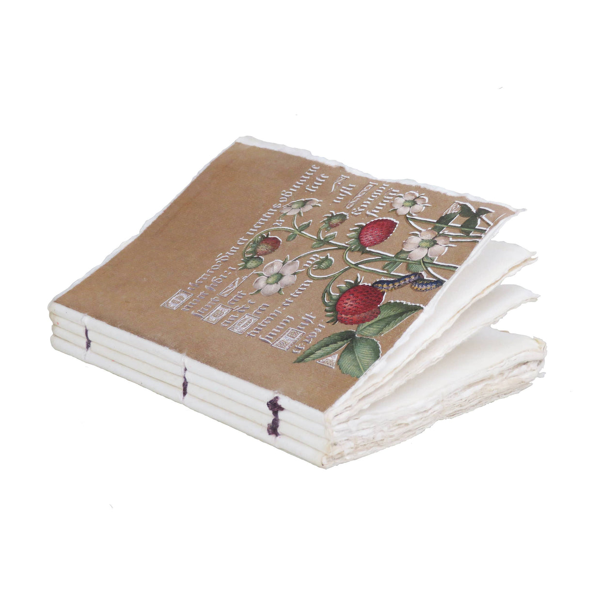 Epigr'am Strawberries and Irises Gold Illumination Parchment Paper Notebook