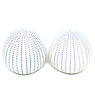 Art Floral Trading Pebble Handcrafted Dotted Porcelain Salt and Pepper Shaker Set