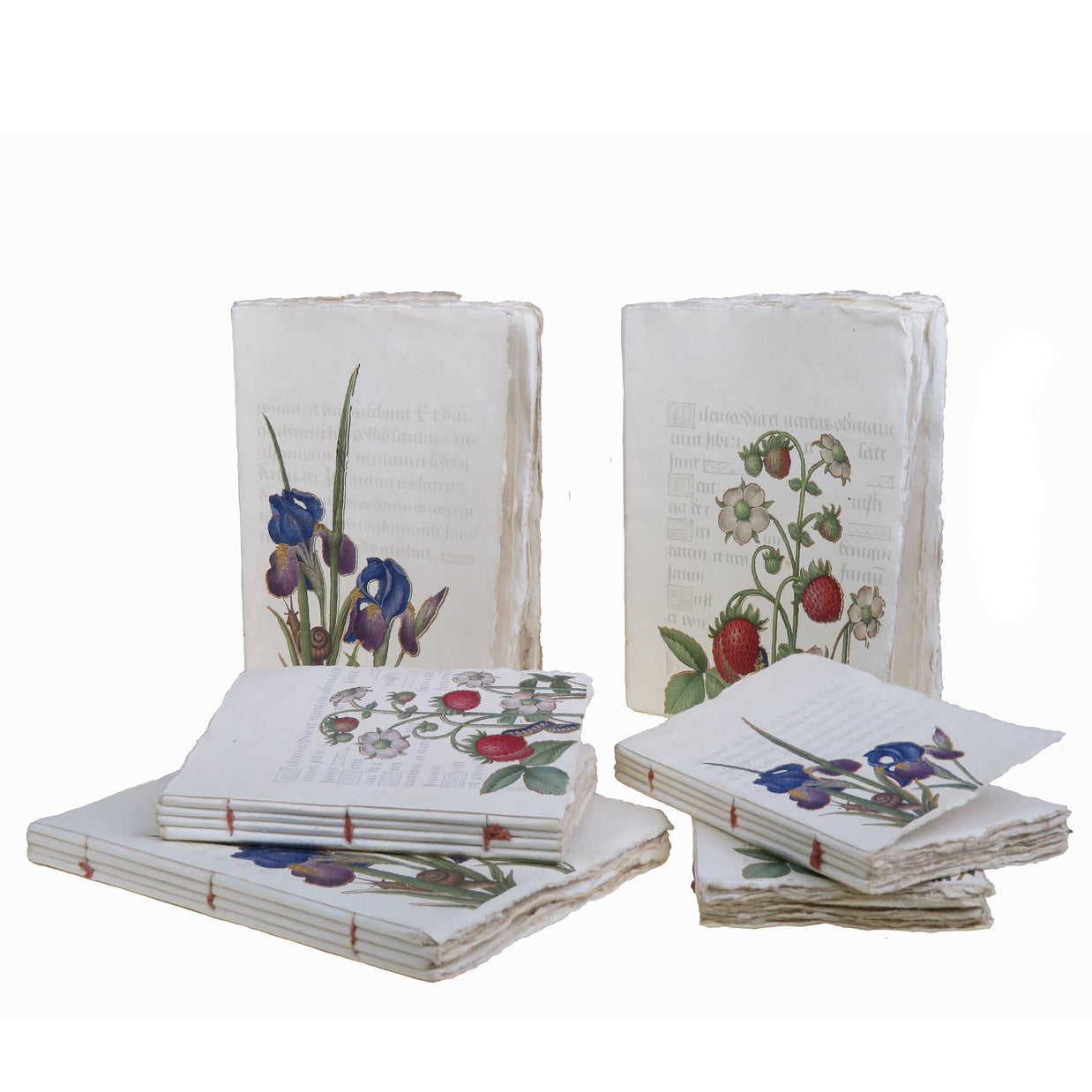 Epigr'am Strawberries & Iris Illumination Middle Ages Parchment Paper Bookmark