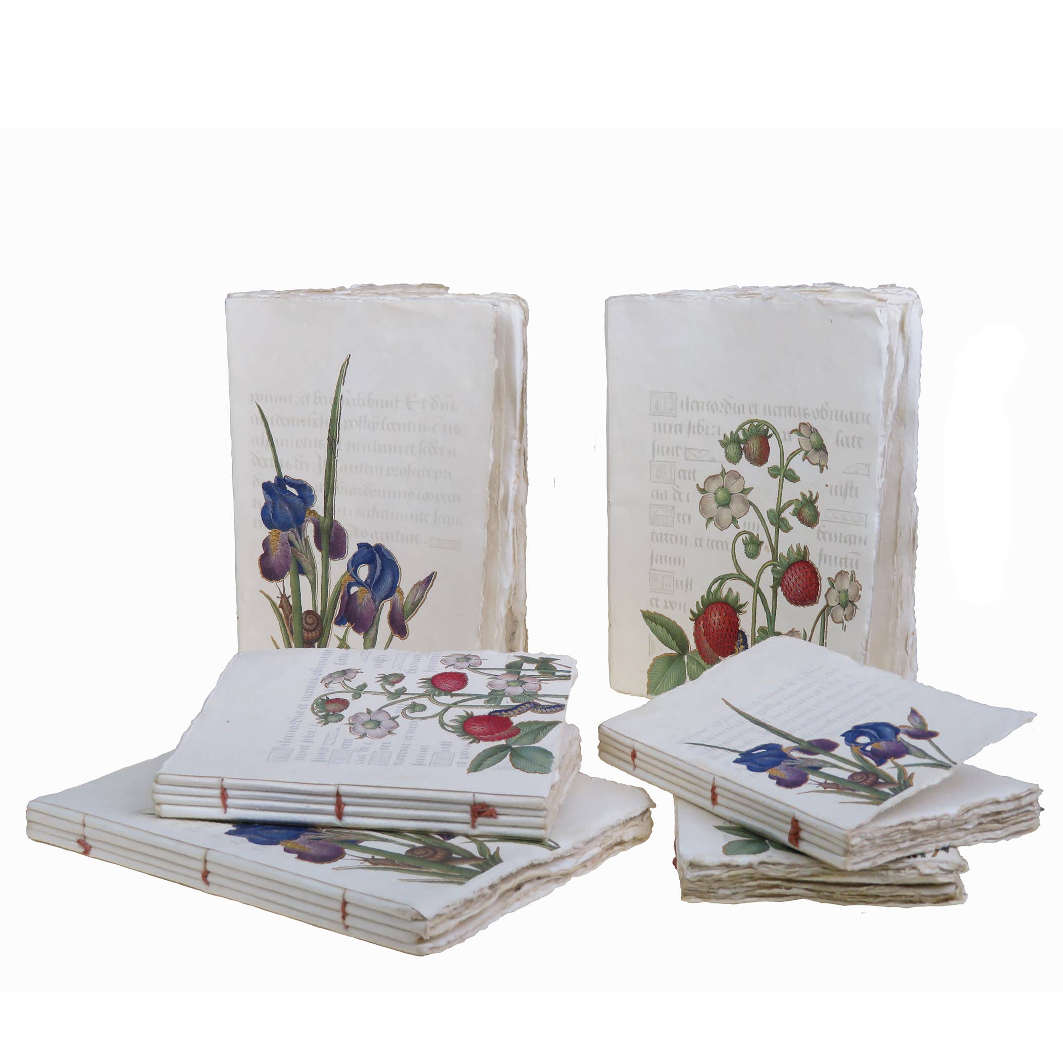 Epigr'am Strawberries & Iris Illumination Middle Ages Parchment Paper Bookmark