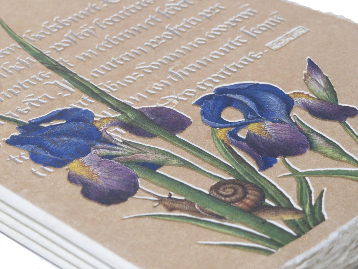 Epigr'am Strawberries and Irises Gold Illumination Parchment Paper Notebook