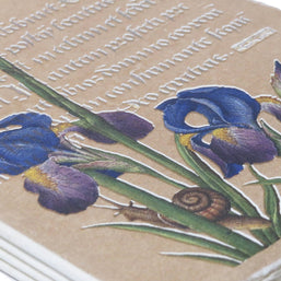 Epigr'am Strawberries and Irises Gold Illumination Parchment Paper Notebook