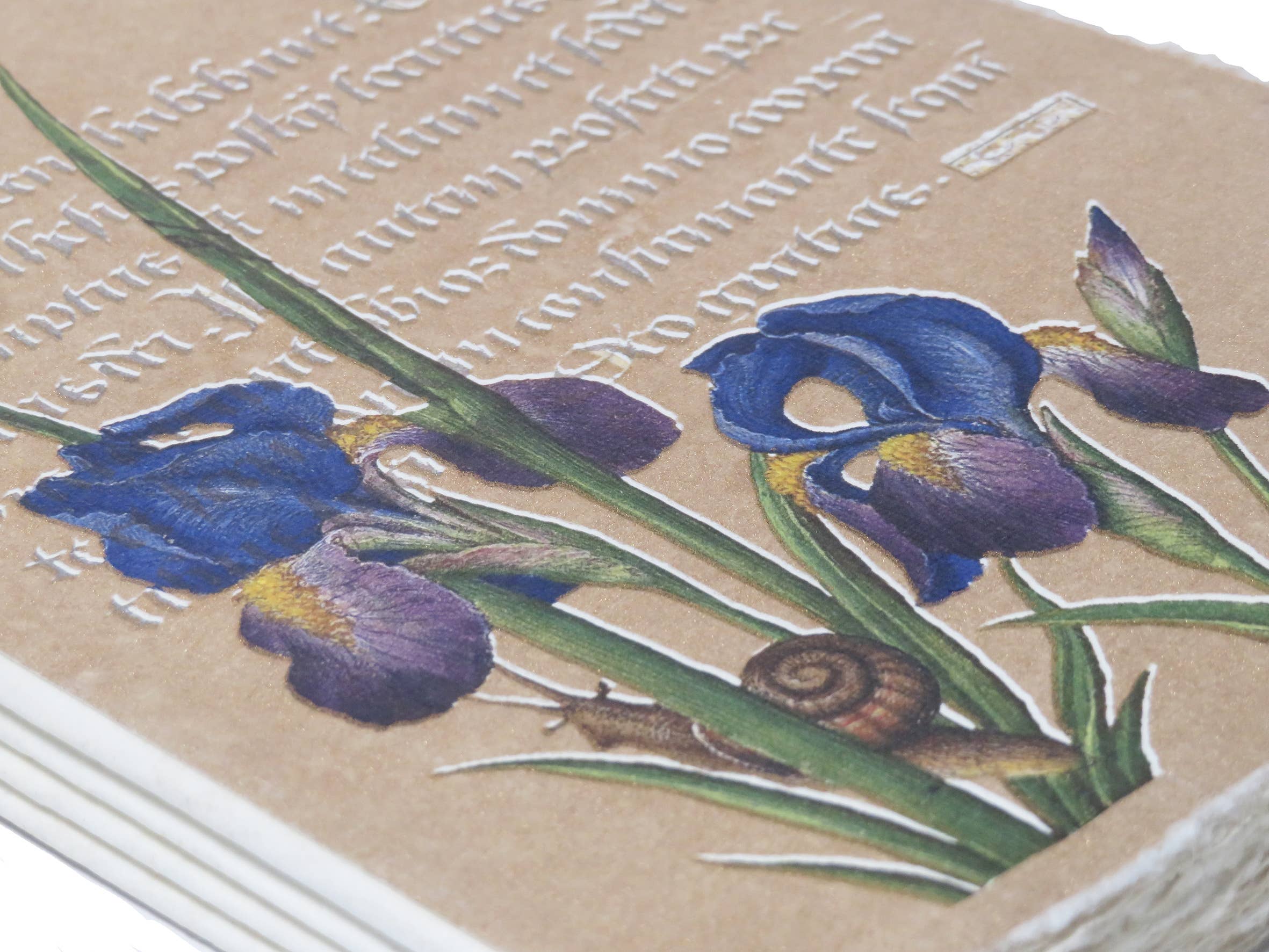 Epigr'am Strawberries and Irises Gold Illumination Parchment Paper Notebook