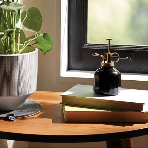 Black Glass and Brass Mister