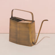 Modern Sprout Watering Can