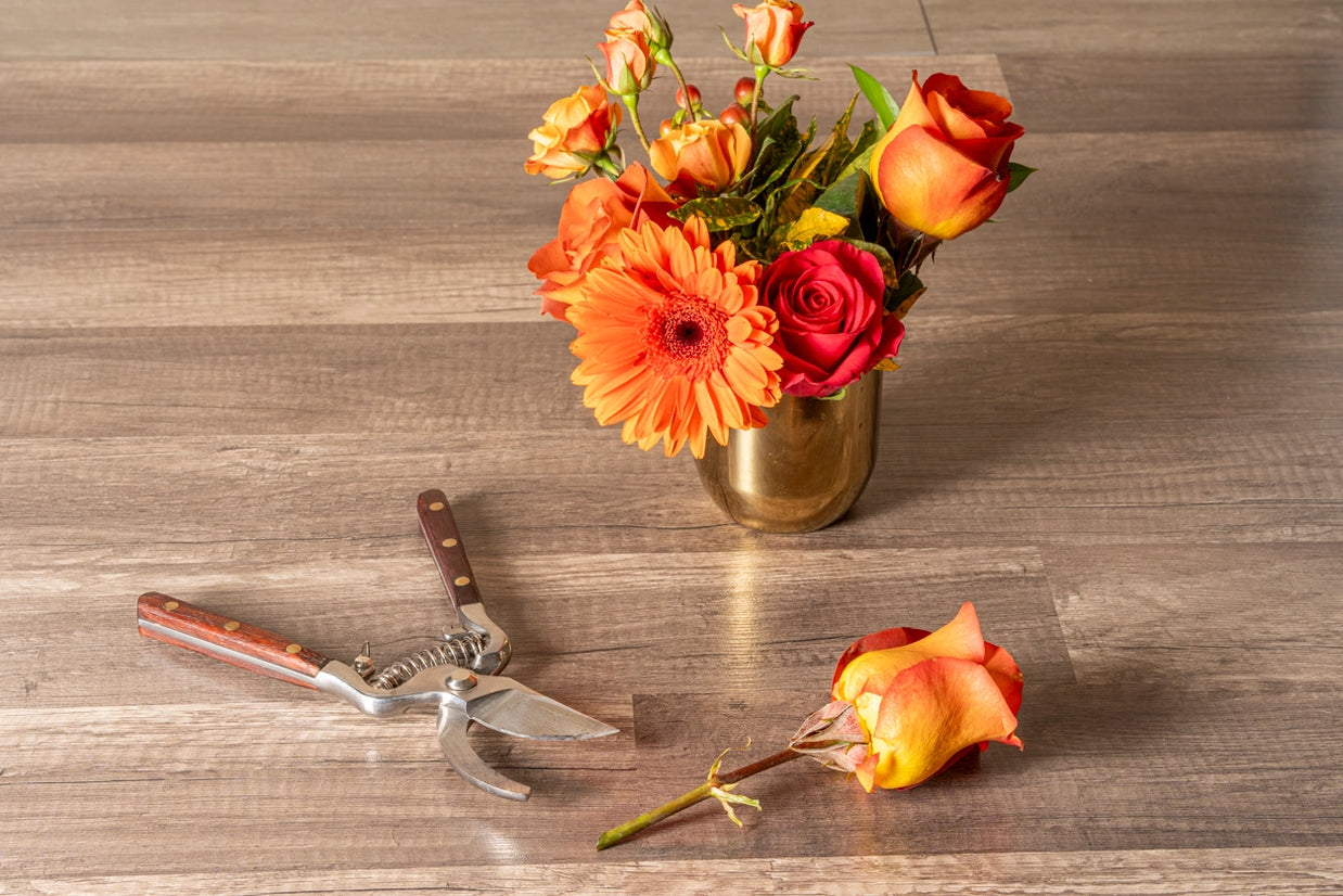 Vibrant arrangement of orange gerbera daisies and coral roses in brass vase with garden shears on wood surface