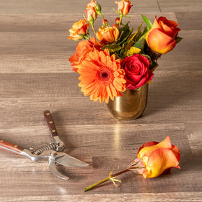 Verve Culture - Thai Kitchen & Garden Shears