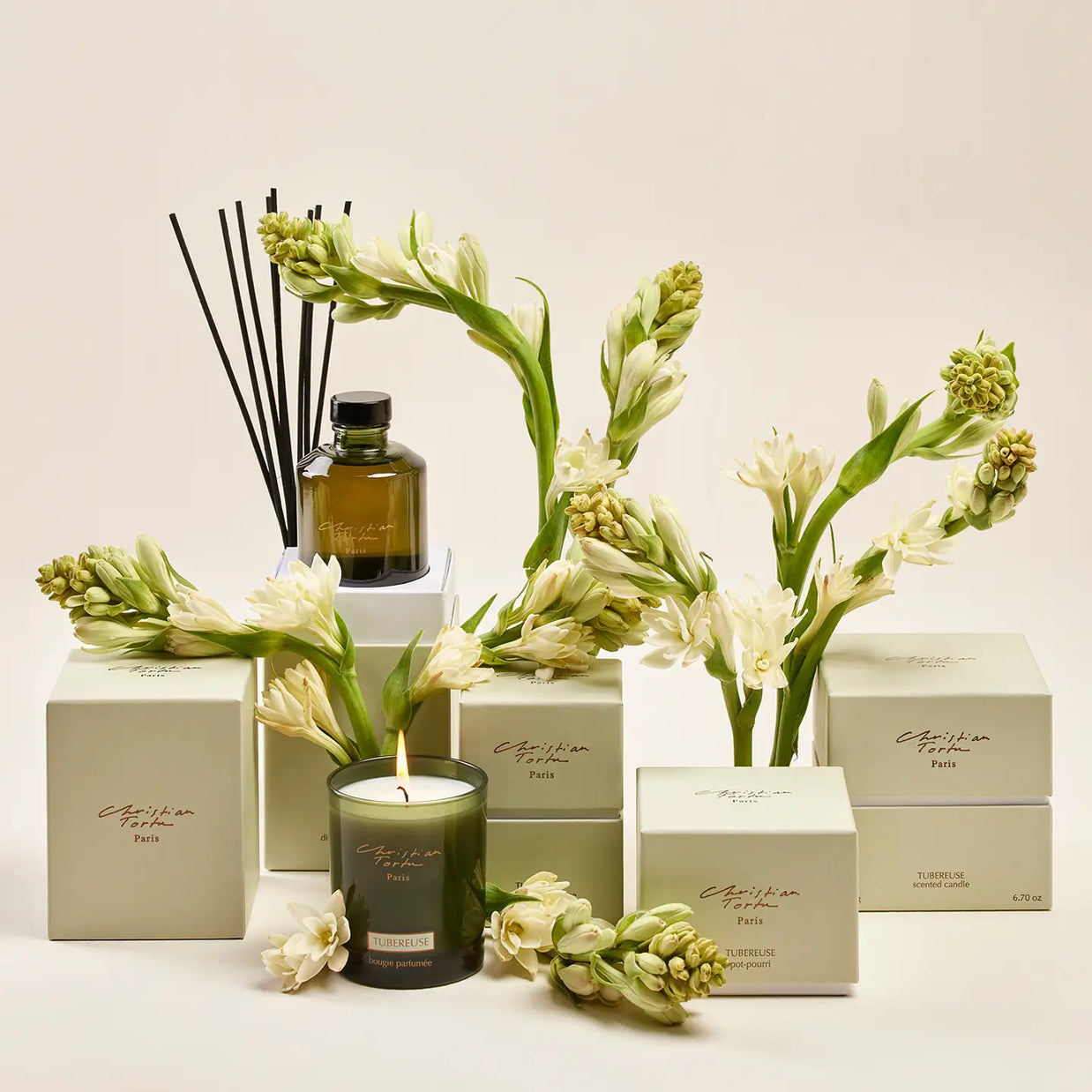 Luxury tuberose home fragrance collection with olive green candle, reed diffuser, and cream boxes amid white tuberose blooms