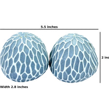 Art Floral Trading Blue Pebble Porcelain Salt & Pepper Shaker Set