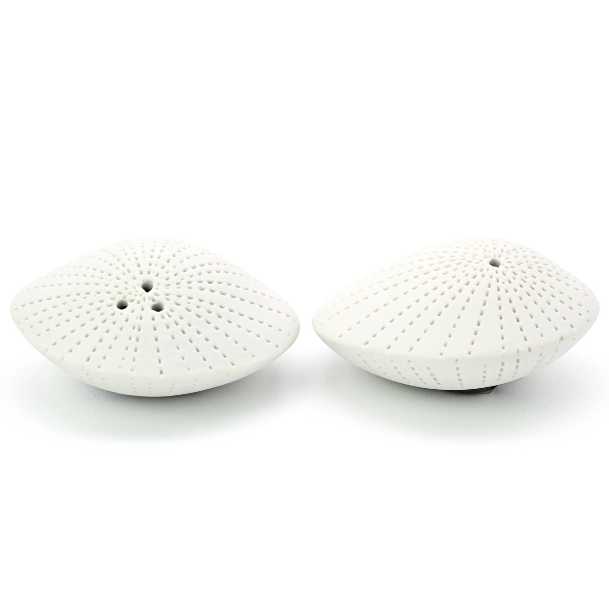 Art Floral Trading Dotted Sea Shell Porcelain Salt and Pepper Shaker Set