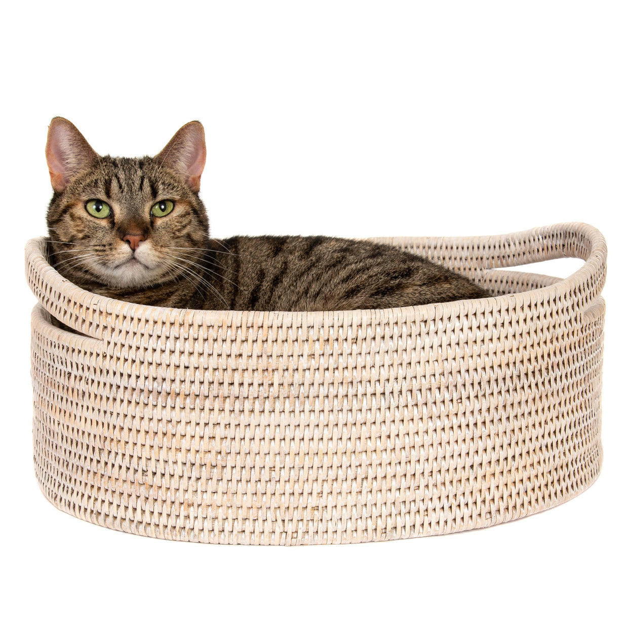 Artifacts Trading Company Rattan Oval Storage Basket