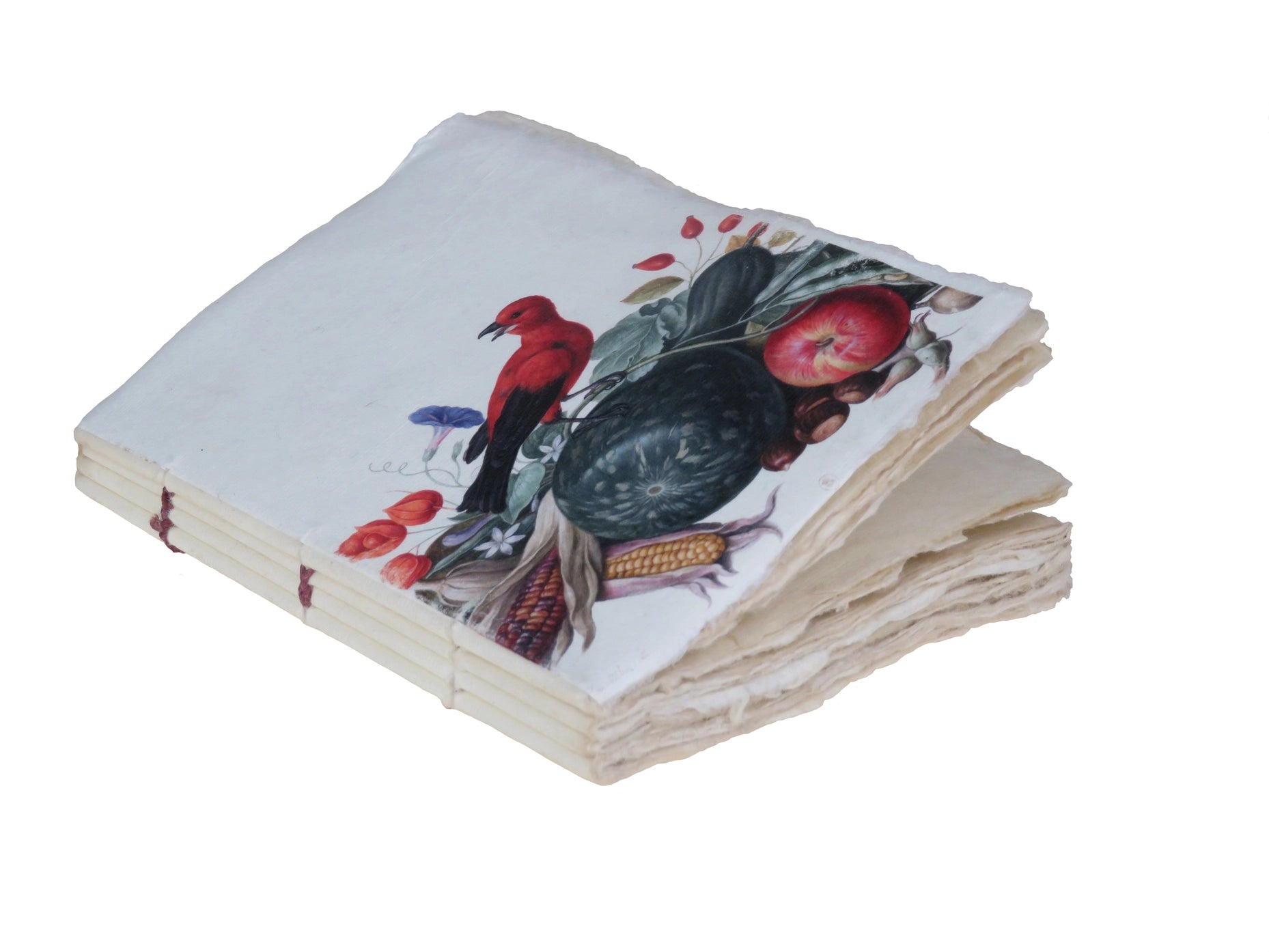 Red Bird Nassau Parchment Paper Notebook