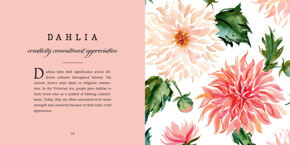Split layout with blush pink page showing dahlia flower meaning text and white page with watercolor dahlia blooms in coral and pink