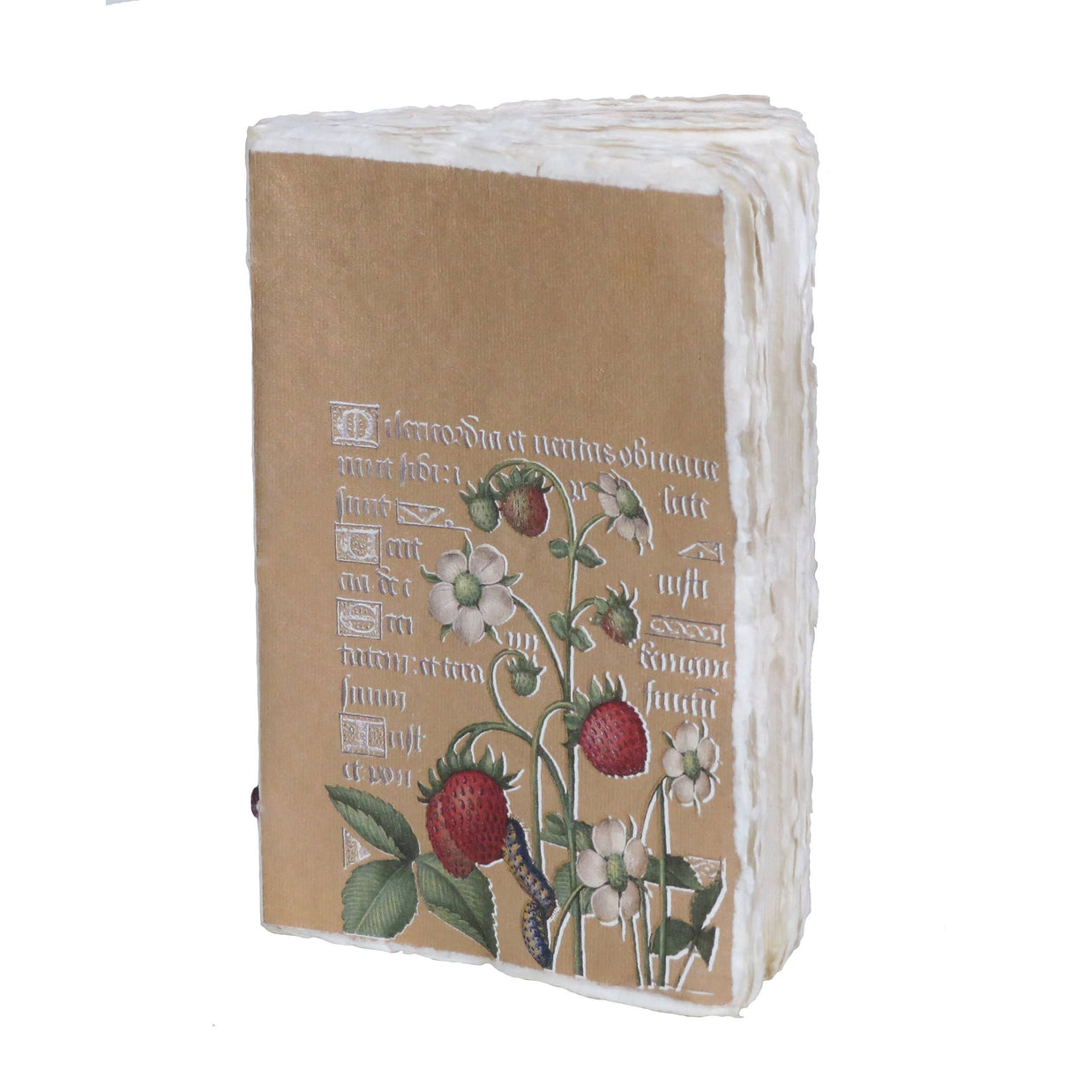 Epigr'am Strawberries and Irises Gold Illumination Parchment Paper Notebook