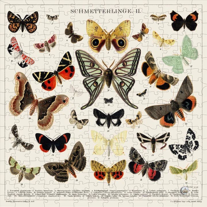 Vintage scientific illustration jigsaw puzzle featuring colorful butterflies and moths with eye-spot patterns on cream background.