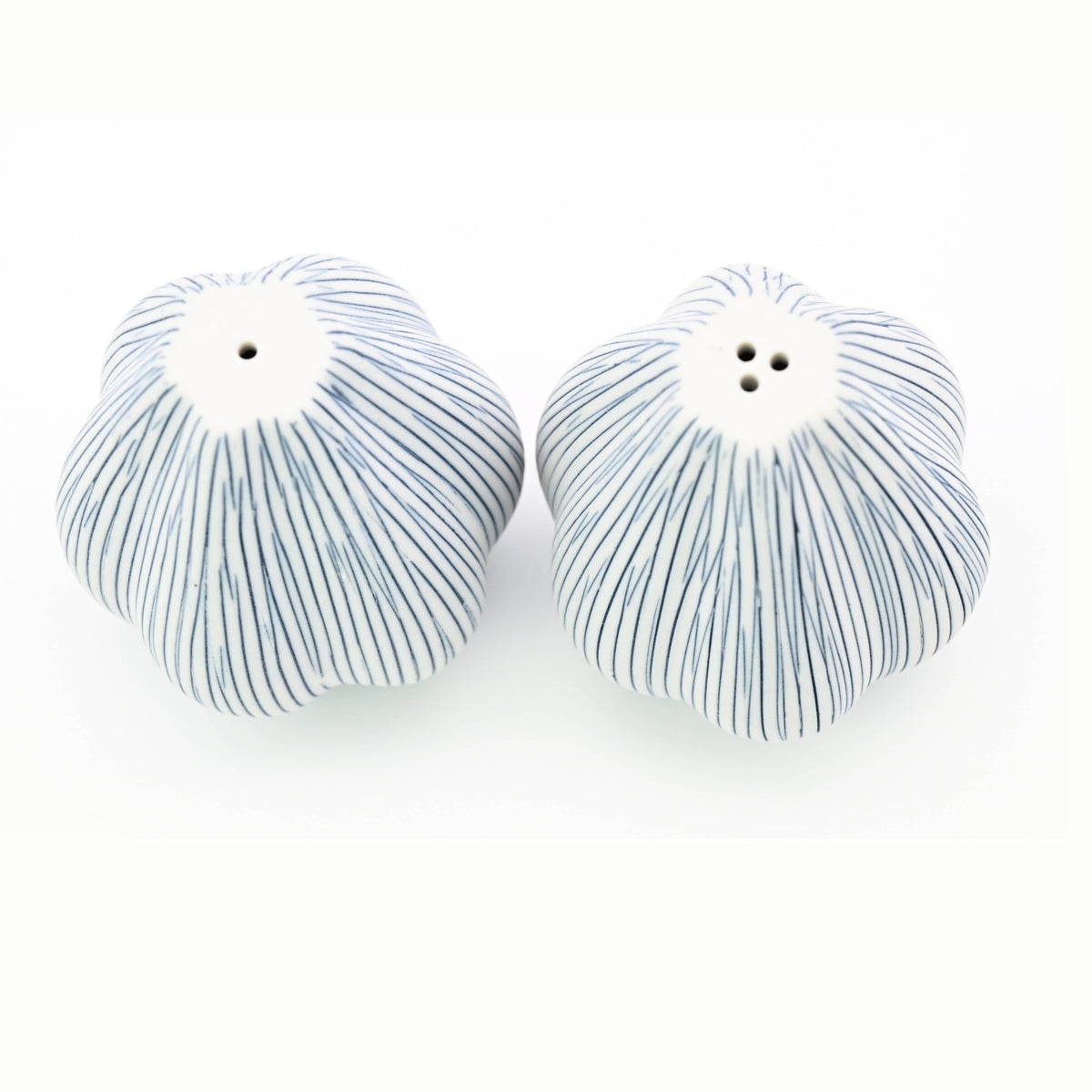 Art Floral Trading Champa Striped Porcelain Salt and Pepper Shaker Set