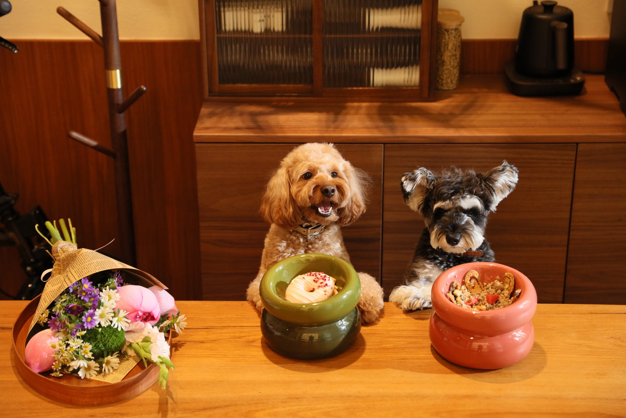 Golden doodle and gray schnauzer sitting at wooden table with ceramic food bowls in sage green and coral pink tones