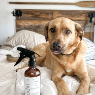 Natural Pet Spray