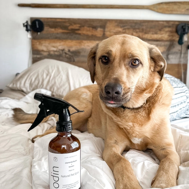 Yam Collective - Natural Pet Spray